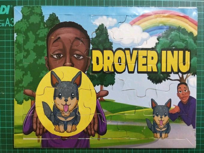 DROVER INU tweet media