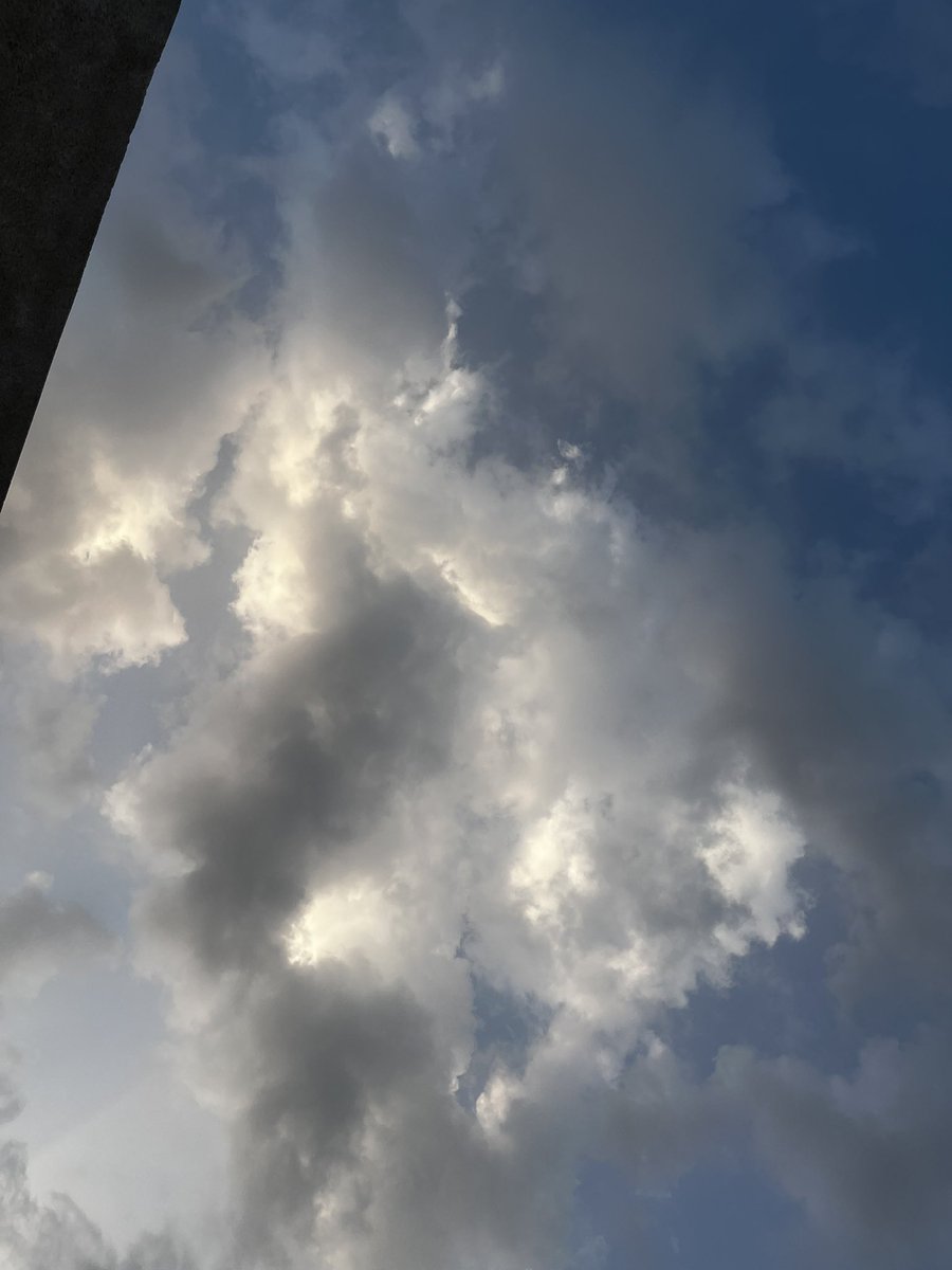 حسنه الشهري tweet media