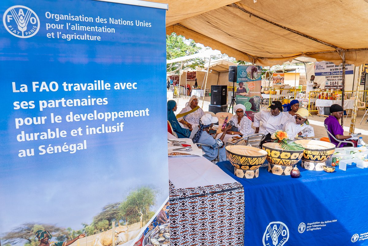 FAO West Africa tweet media