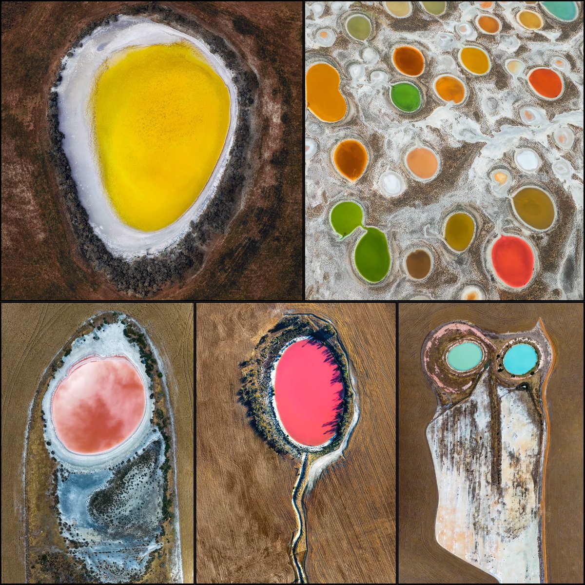 Rakesh Pulapa tweet media