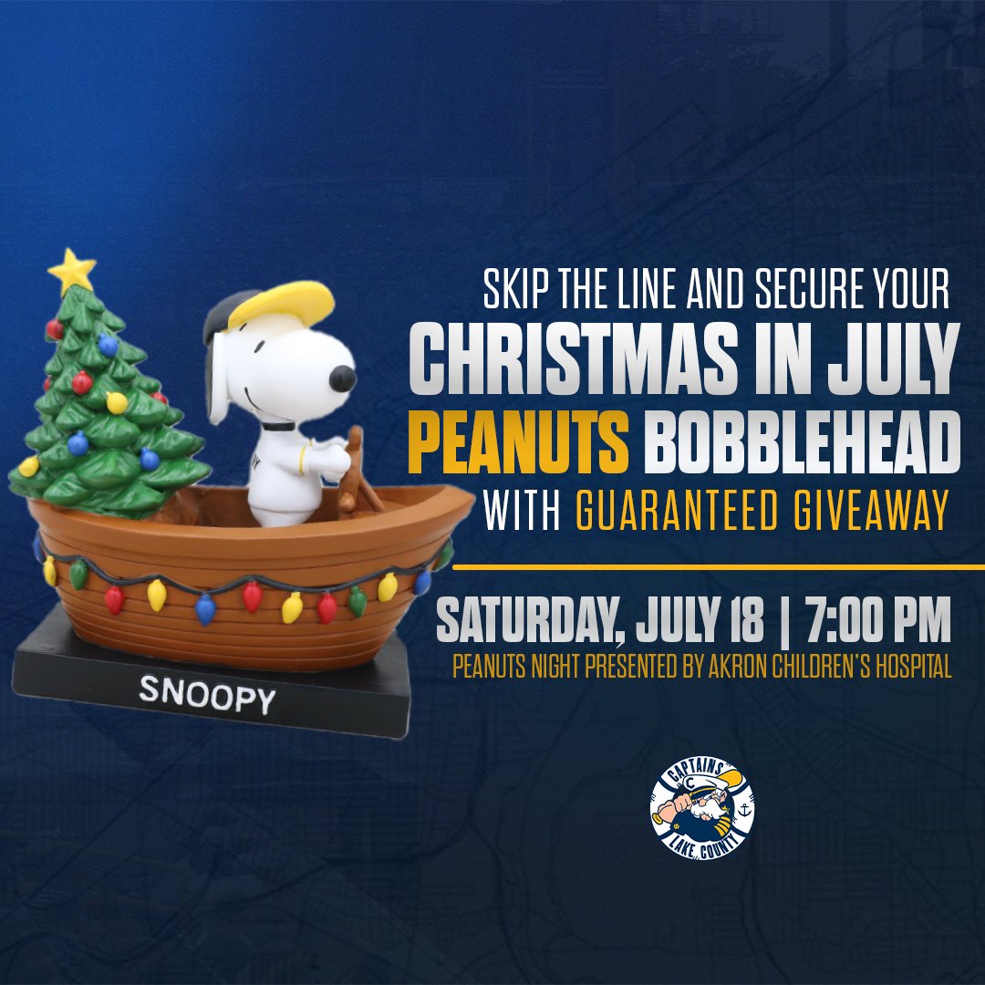 Lake County Captains tweet media