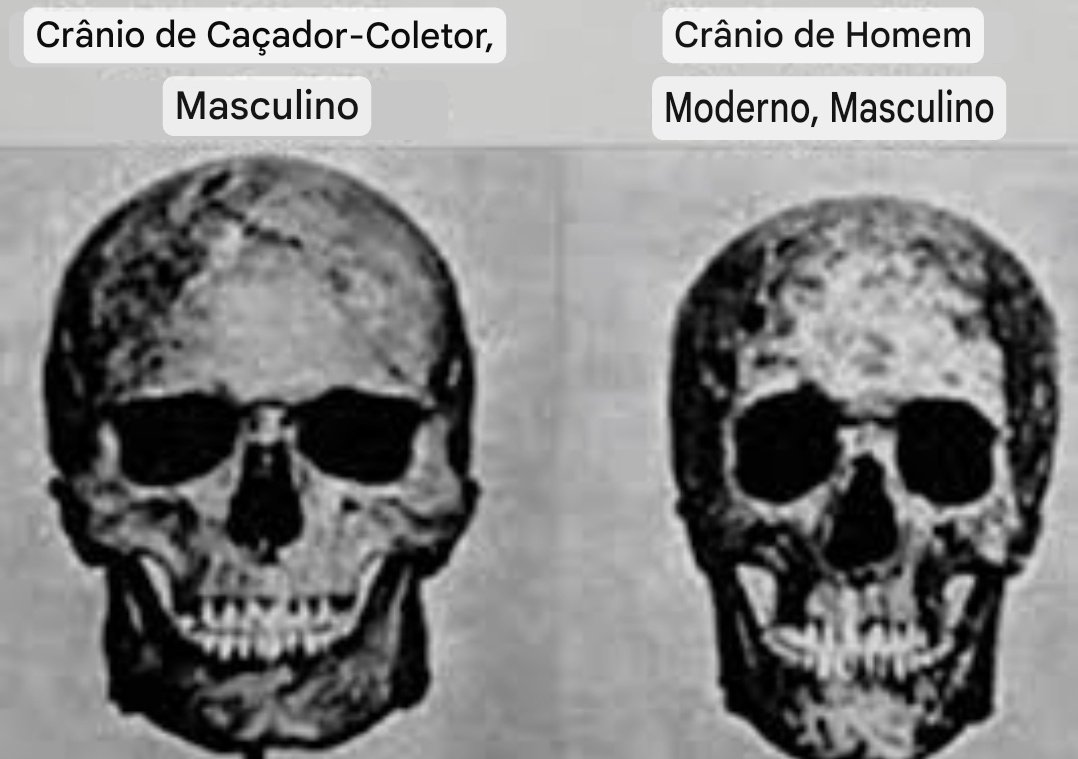 Lobo Branco tweet media