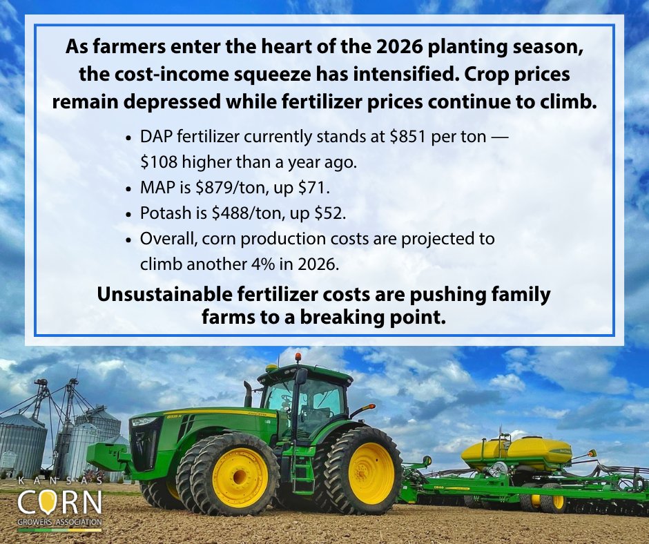 Kansas Corn tweet media