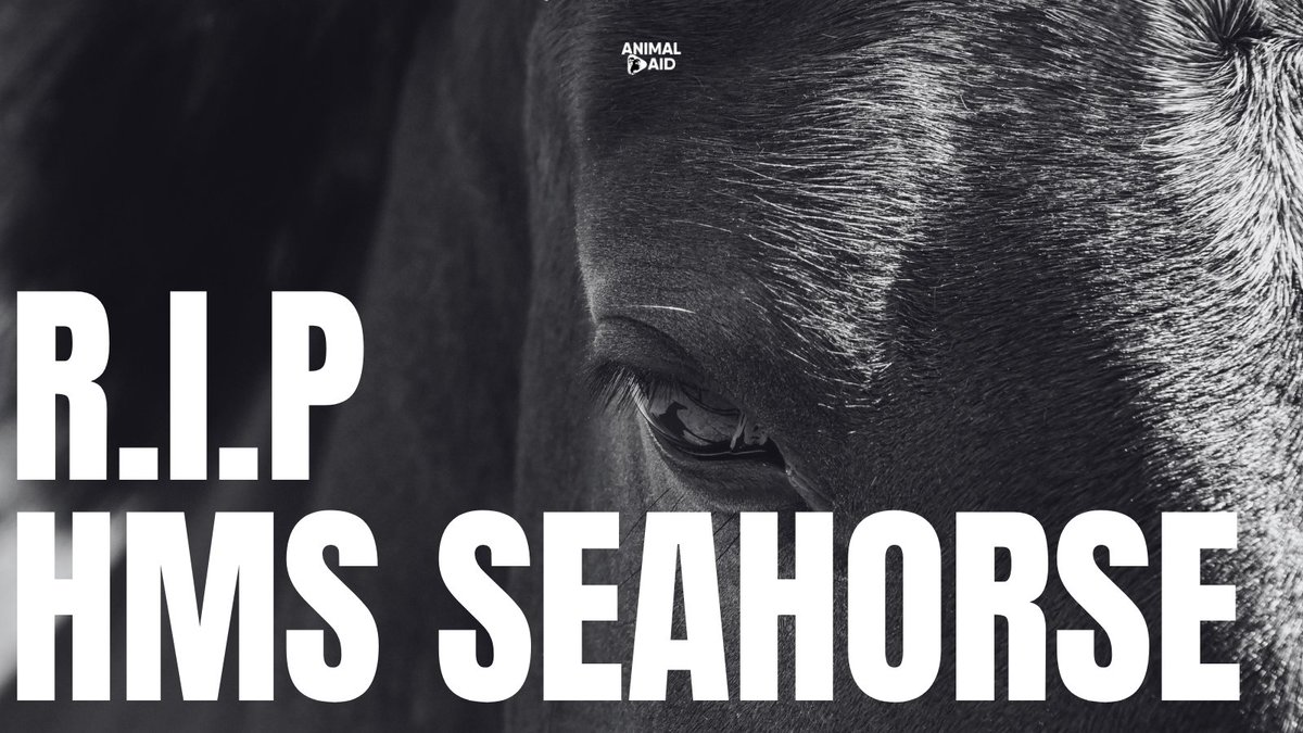 Animal Aid tweet media