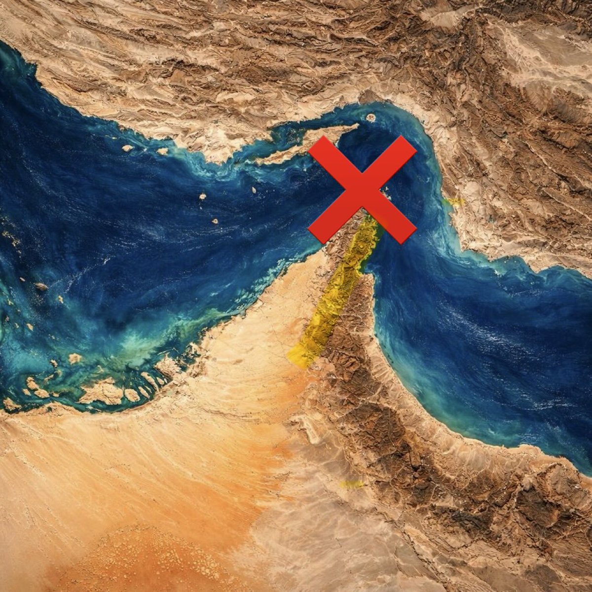 Bozwy 🕊️ tweet media