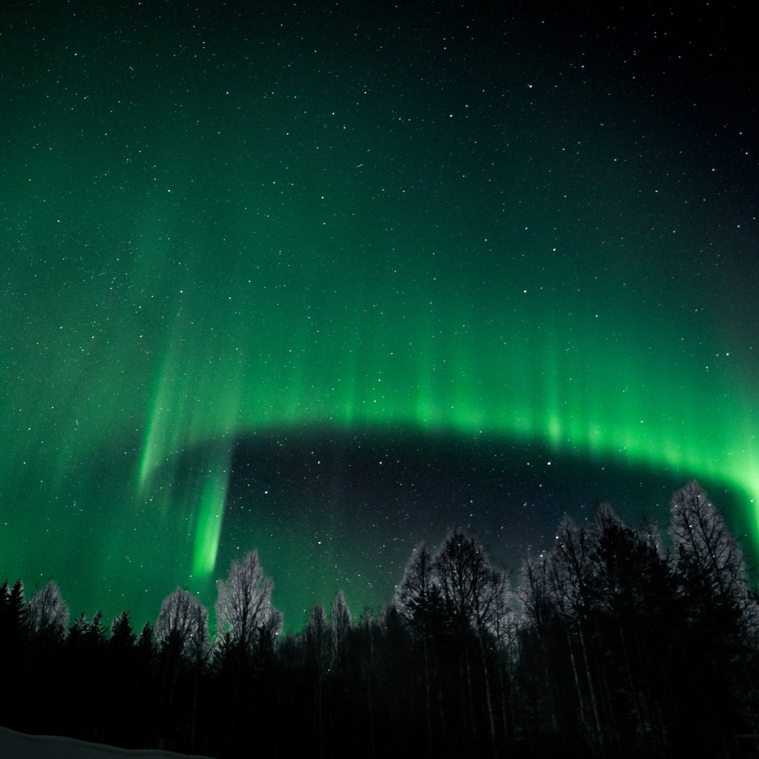 Travelintonorth's tweet photo. Glow of the northern lights 📷
#northernlights #aurora #auroraborealis #finland #intonorth https://t.co/K9Kl8DSLKd