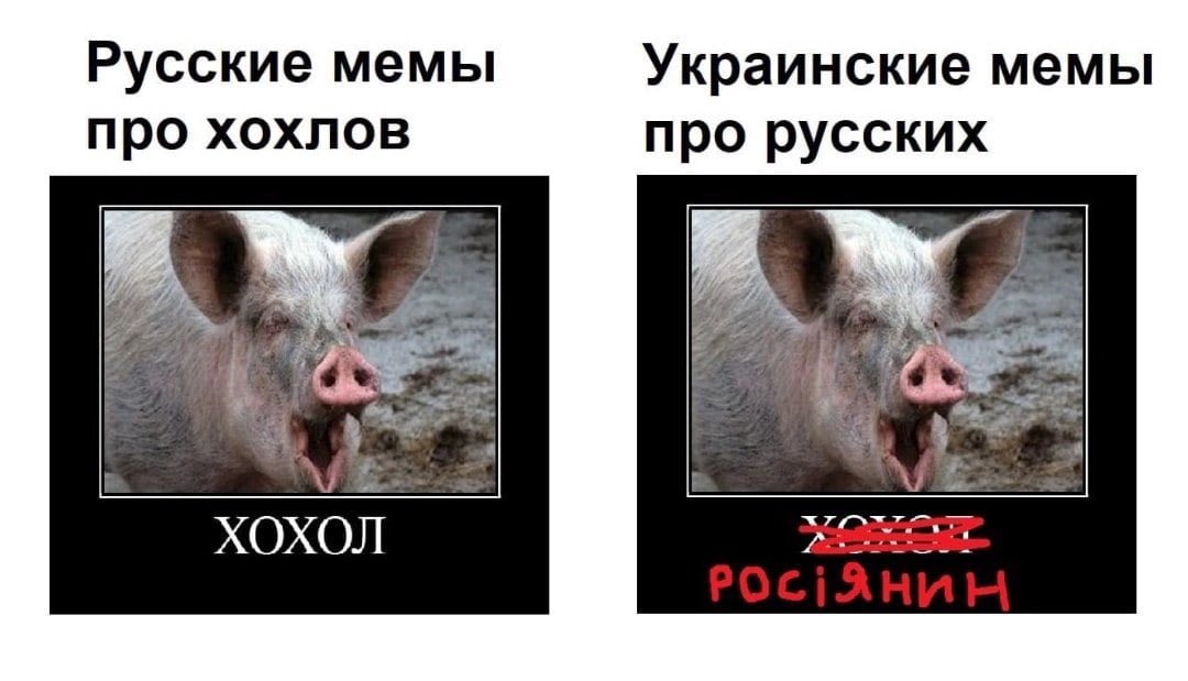 evig2135 tweet media