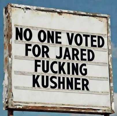 Molly Davis tweet media