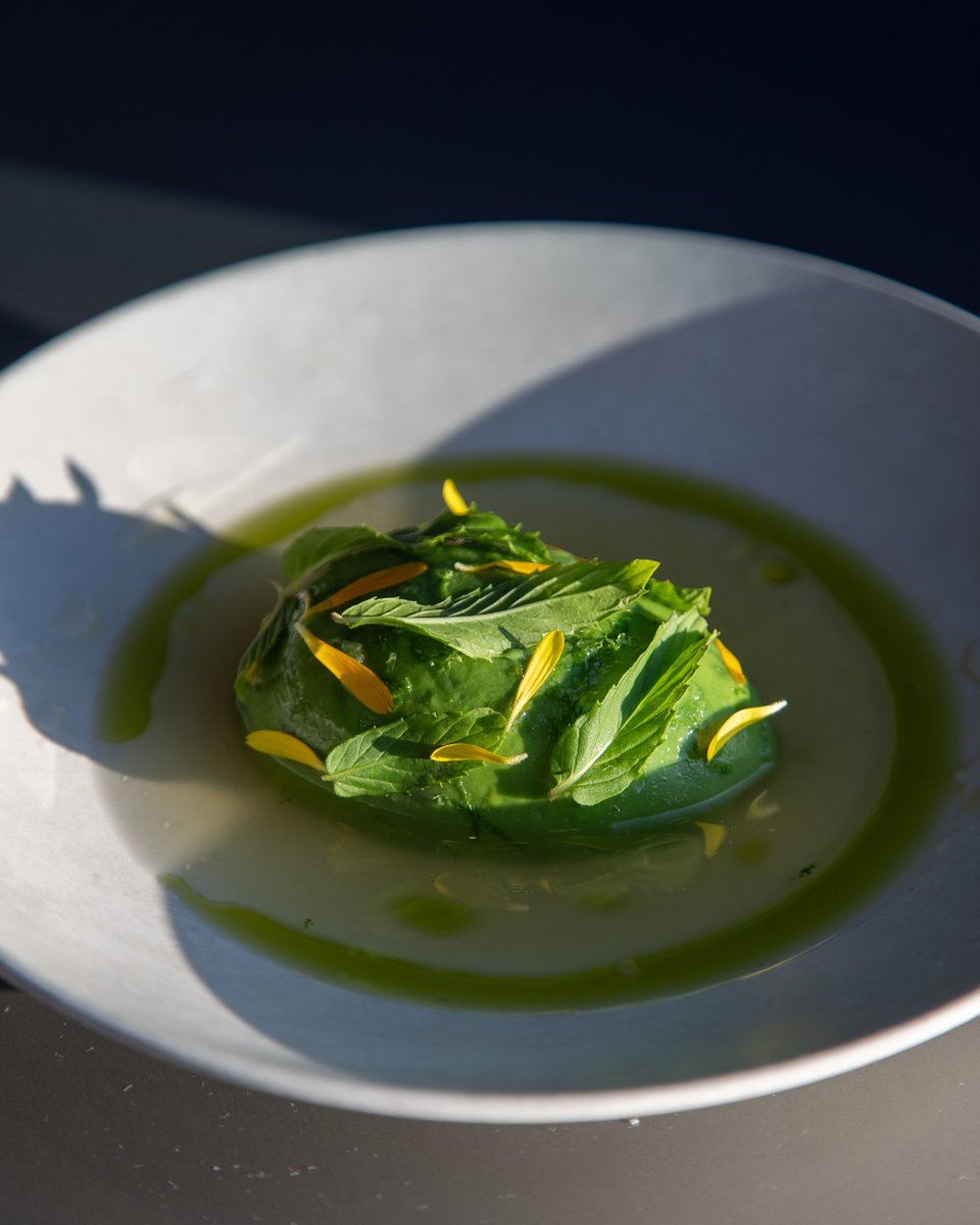 71Above's tweet image. A guest favorite for a reason.
Our Yellowfin Tuna Tartare is tucked inside avocado, finished with a bright sumac–lemon vinaigrette, and surrounded by a chilled cucumber–Meyer lemon broth.
Fresh, vibrant, and the dish everyone comes back for. ✨
#71Above #DTLA #FineDining