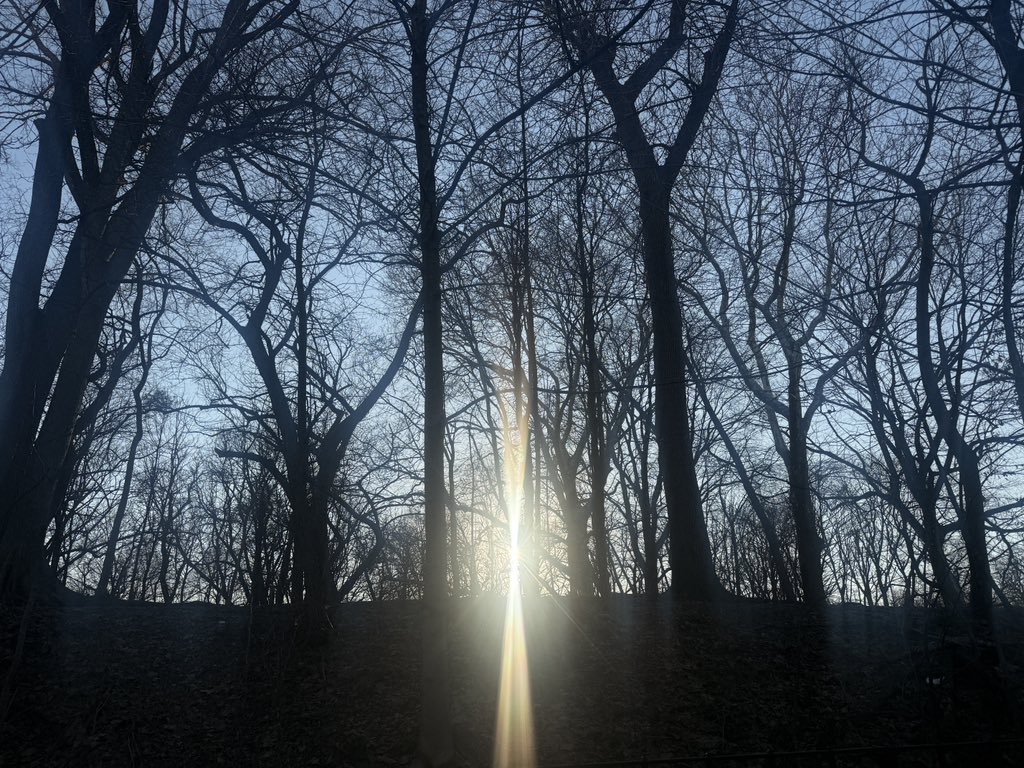 Corrine Ciani tweet media