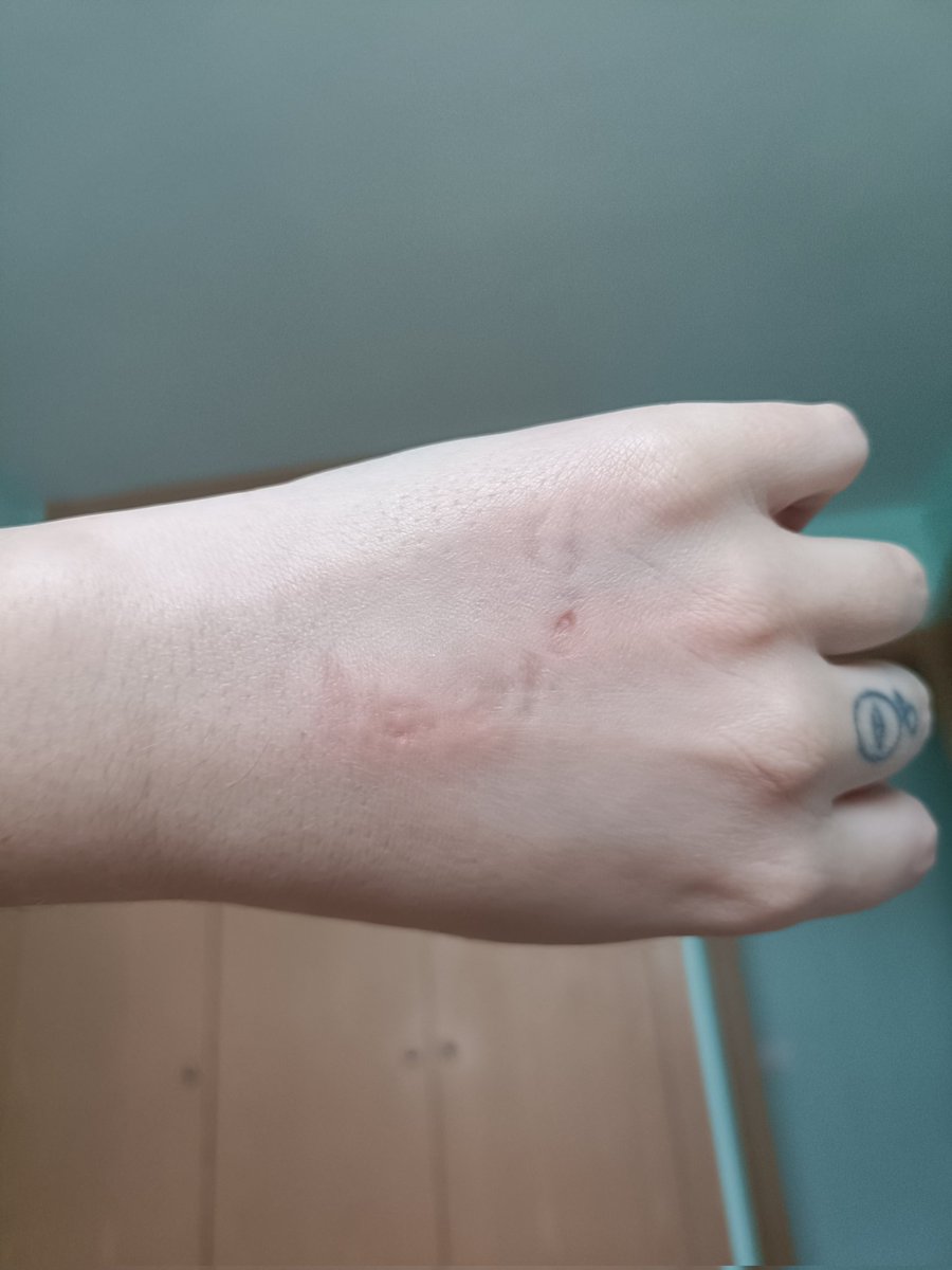 Sra Crowley tweet media