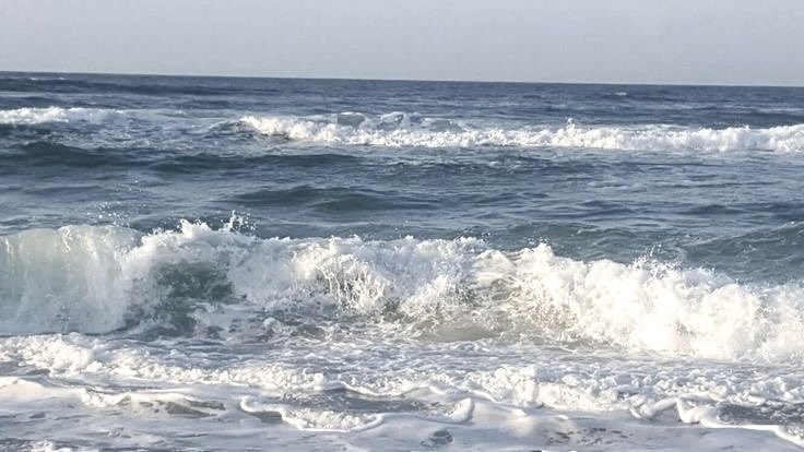 𝖣𝖺𝗅𝗅𝖾𝗇, tweet media