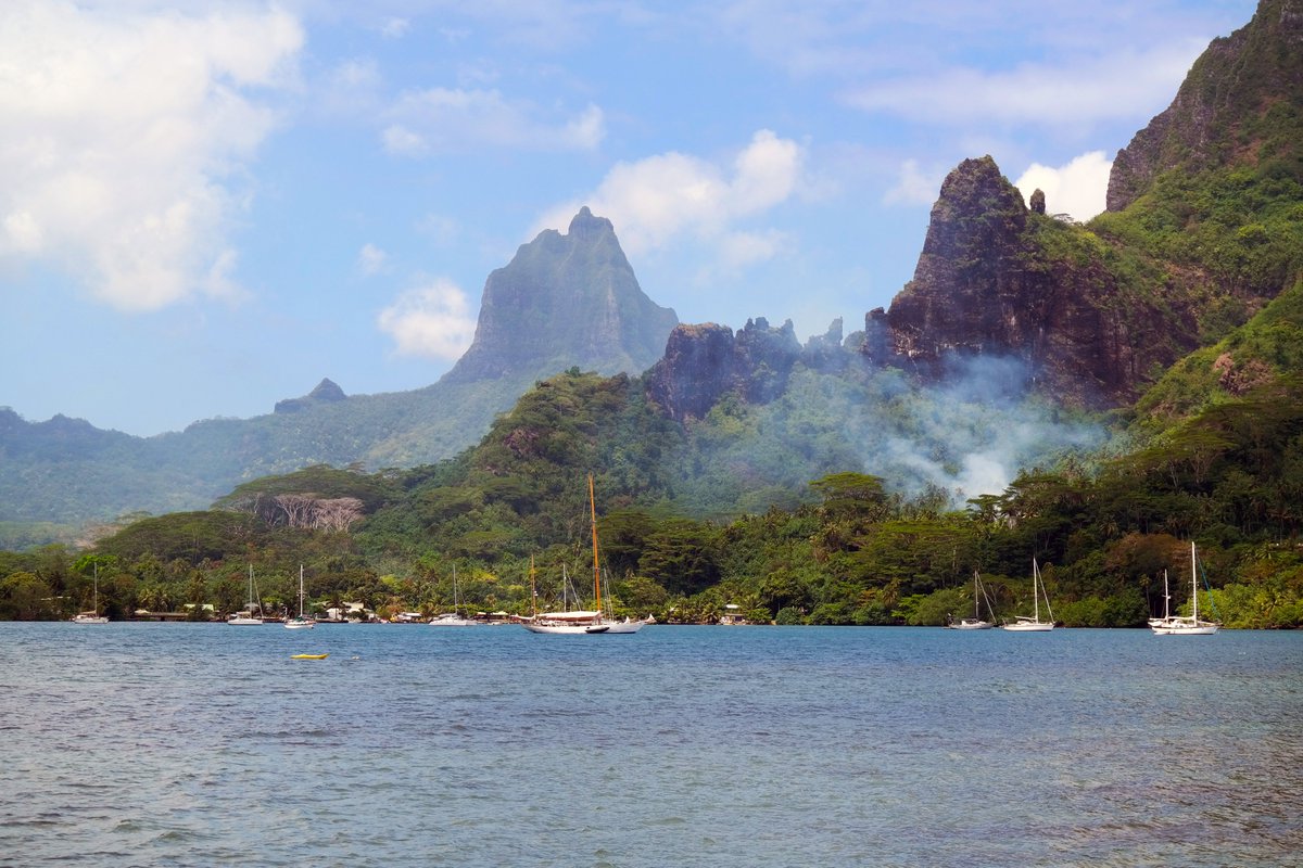 Jens Peter 🇩🇰 🇬🇱 🇫🇴 tweet media