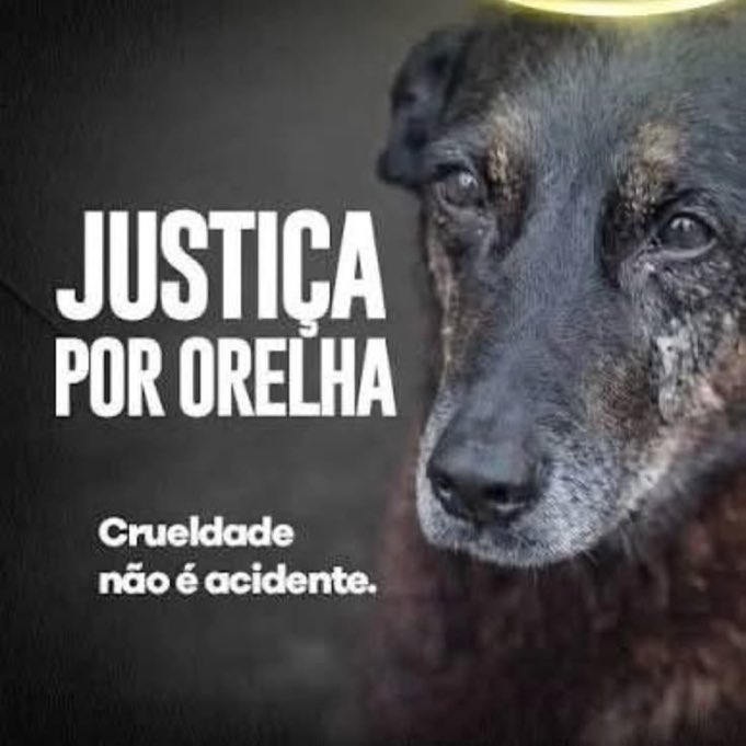 Não vamos parar enquanto não houver justiça <a href="/camaradeputados/">Câmara dos Deputados</a> 
<a href="/SenadoFederal/">Senado Federal</a> 
<a href="/LulaOficial/">Lula</a>