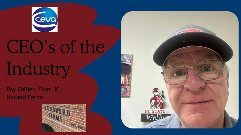 Swineweb.com tweet media