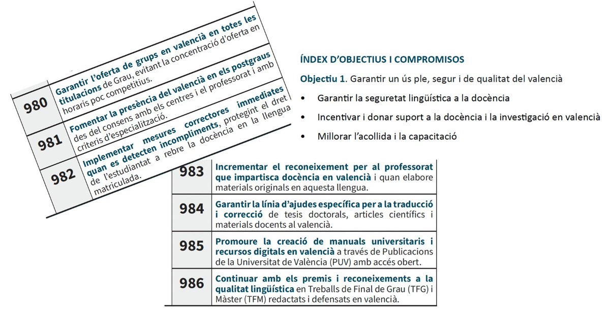 Angeles Solanes tweet media