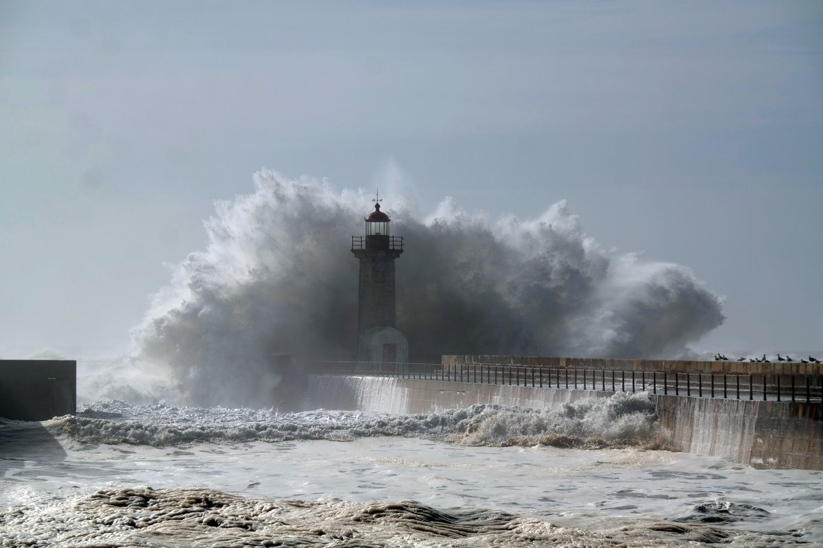 Jens Peter 🇩🇰 🇬🇱 🇫🇴 tweet media