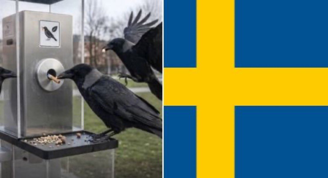 Tendencias en Argentina tweet media