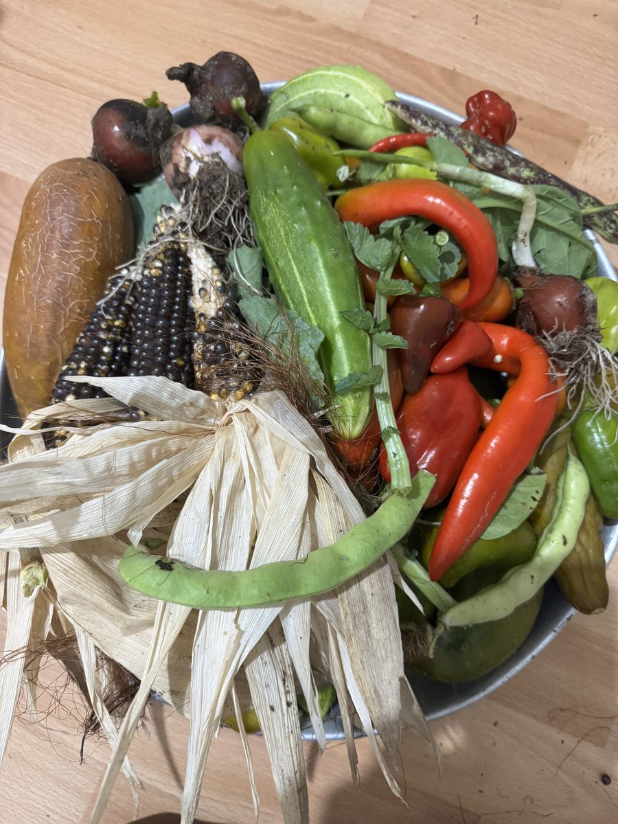 Fatih Çolak tweet media