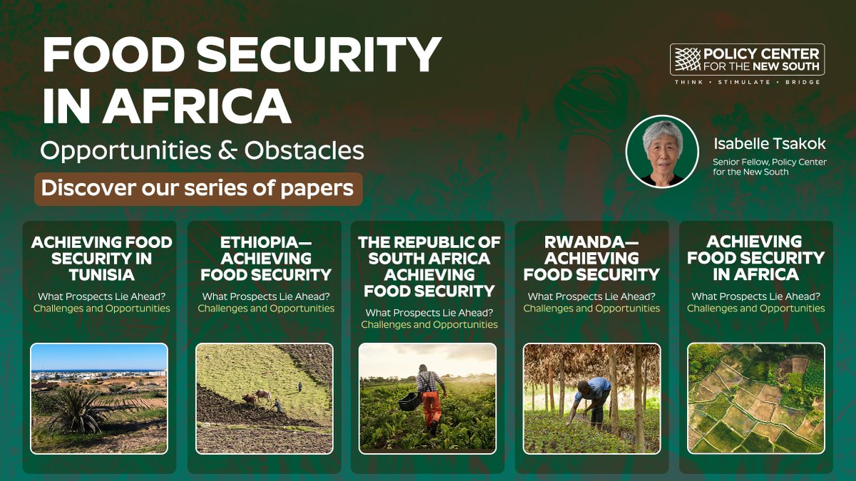 🌾#FoodSecurity
🌍 What challenges and opportunities shape the path toward food security across #Africa?
📝 In this five-paper series, our Senior Fellow Isabelle Tsakok examines the prospects and key dynamics influencing the continent’s food future.
🔗Discover more: