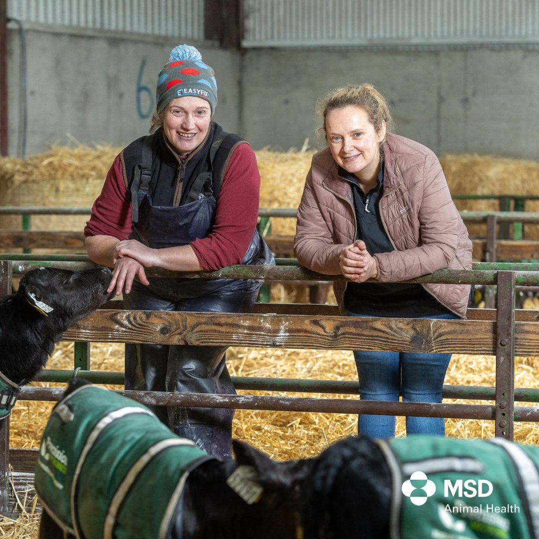 MSD Animal Health - Livestock tweet media