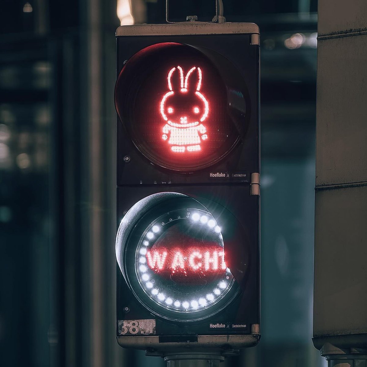 네덜란드에는 무려 미피 신호등이 있대요