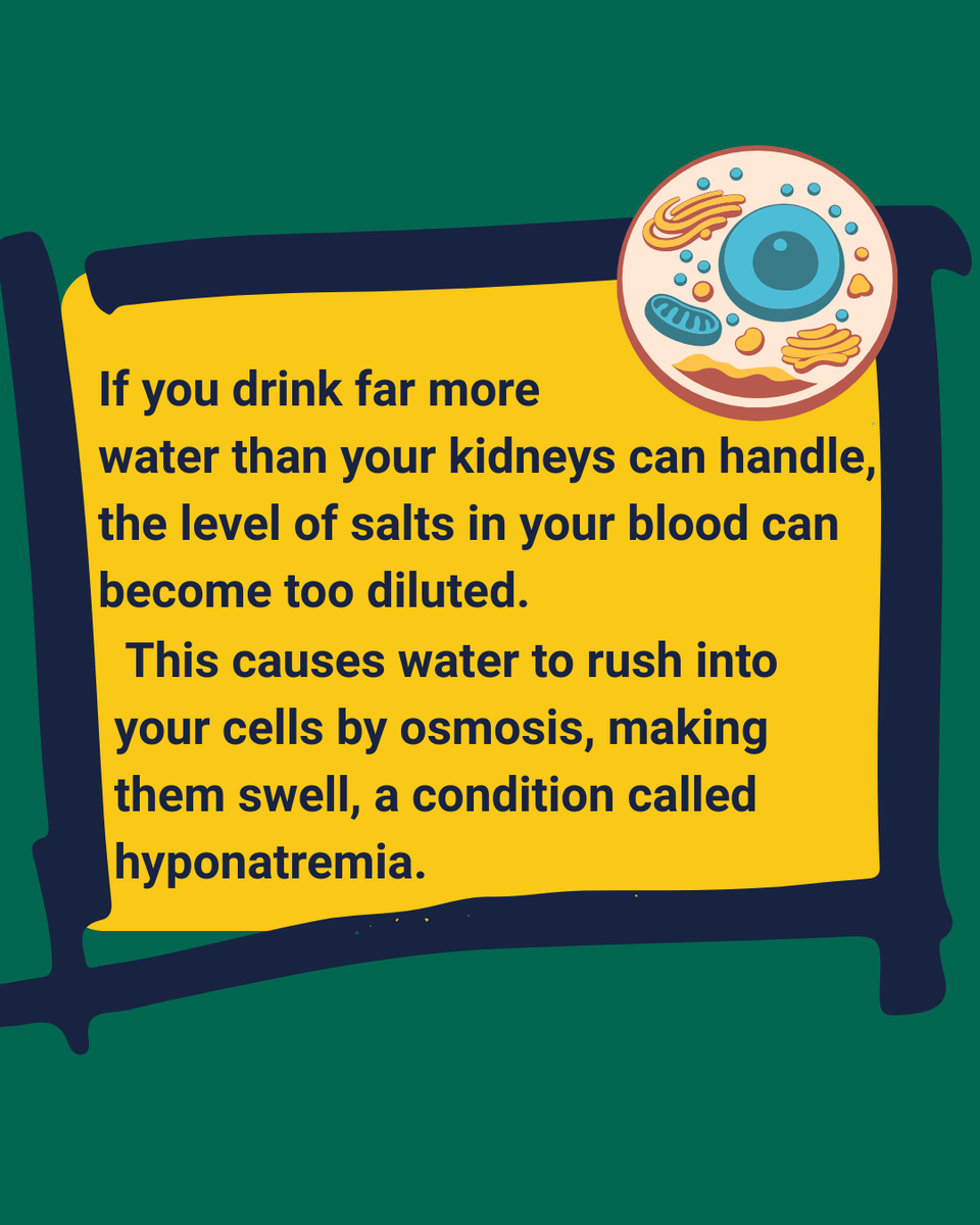 STEM Response Team - University of Wolverhampton tweet media