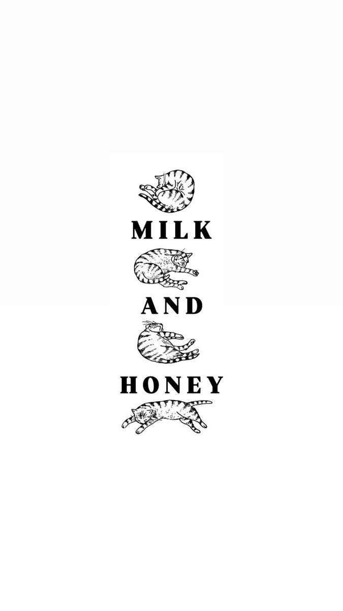 ash ☆⌒૮ - ﻌ • ა tweet media