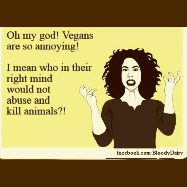 Dervilla(v) tweet media