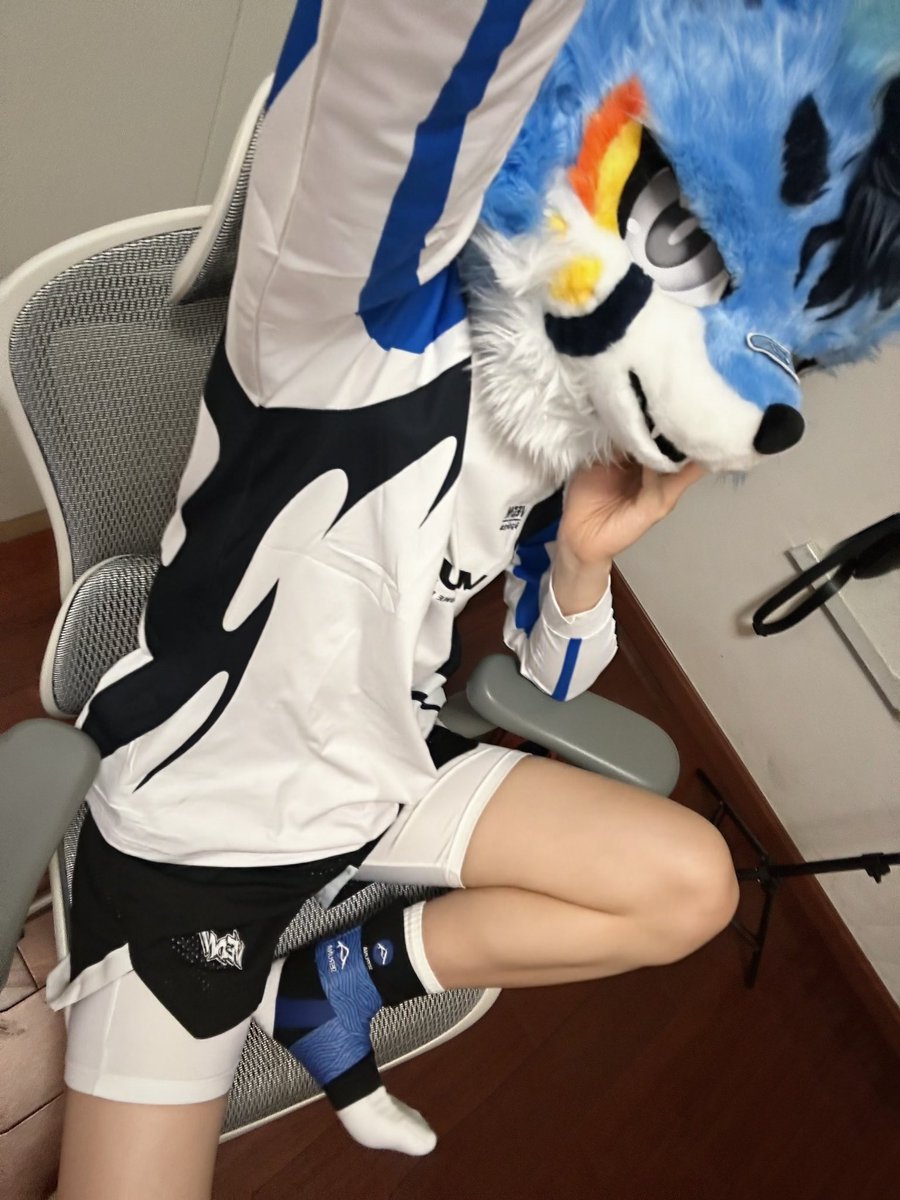 狗狗在盯哪里看呢