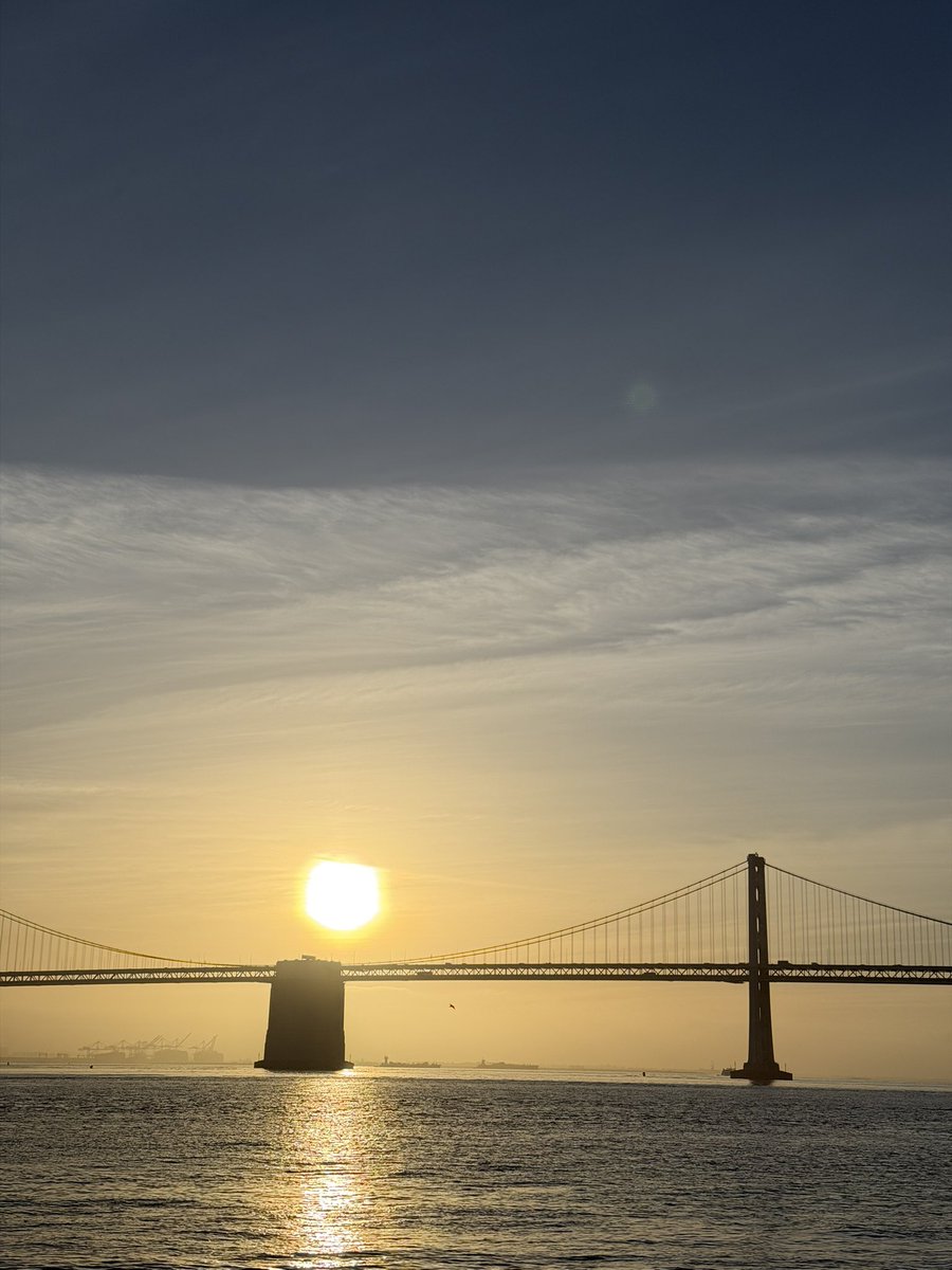 Julia Pintar tweet media