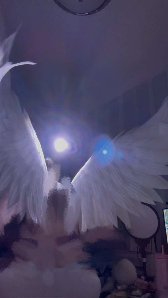 一颗圆润的桃桃 tweet media