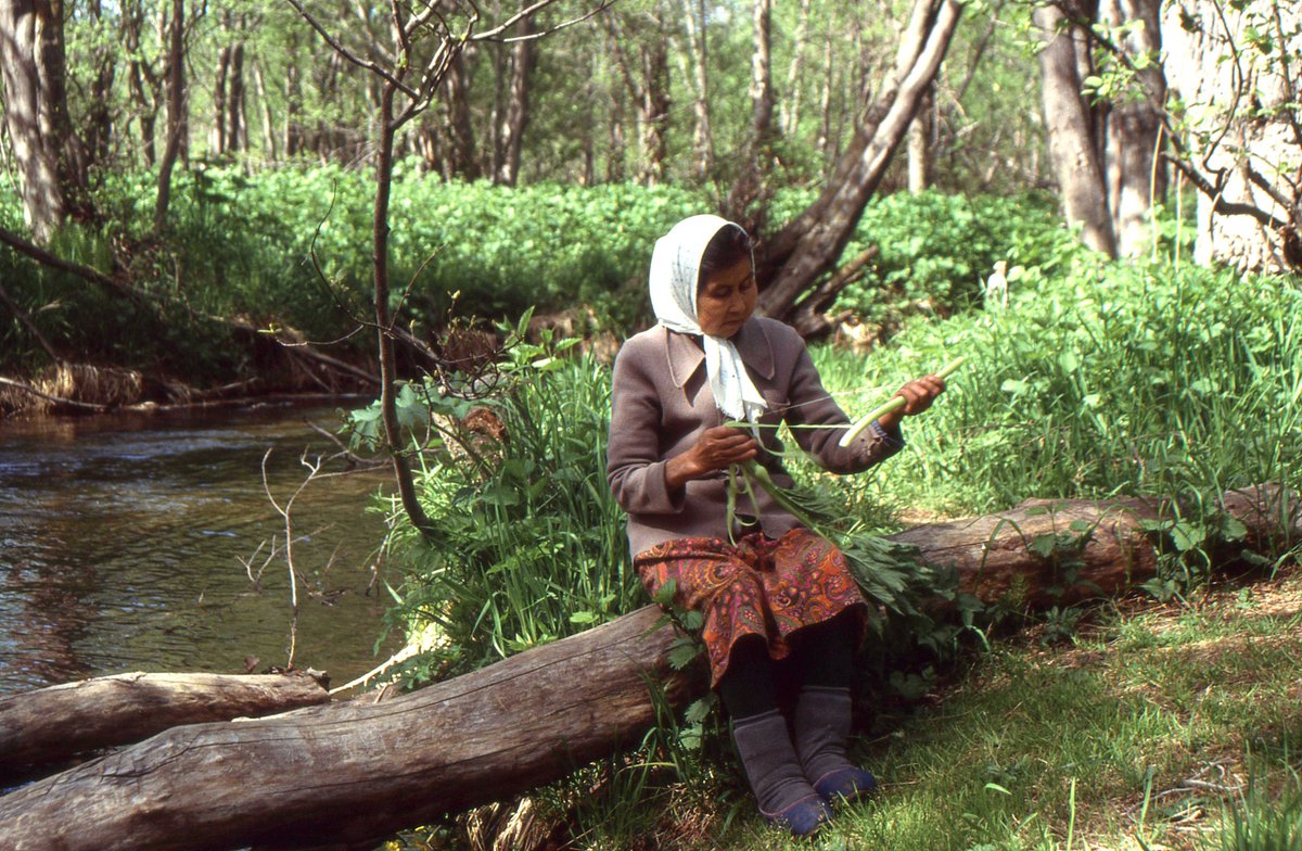 Michael_Leh's tweet image. ‘Russian society is atomized’
#Russia is home to members of various #indigenous peoples. #Itelmen human rights activist Dmitry Berezhkov, who lives in exile in Norway, explains how they are oppressed in Vladimir Putin’s empire.
By Michael Leh
ishr.org/russian-societ…