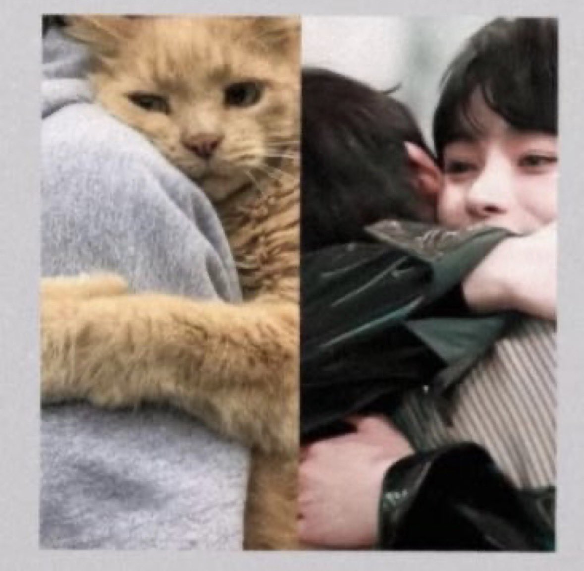 HANBIN (EX PARTICIPANTE DE ILAND) ACABA DE PUBLICAR UNA FOTO DE EL ABRAZANDO A SUNOO, ESTO NO ES COINCIDENCIA SIEMPRE HEMOS SABIDO QUE HANBIN APRECIA MUCHO A LOS CHICOS Y DEBE SABER LO QUE SUNITO Y TODOS ESTAN PASANDO 😭