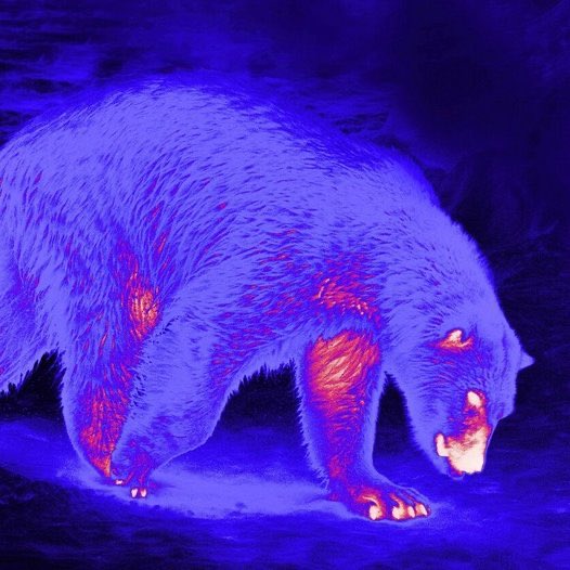 chupi 🦇 HADES tweet media