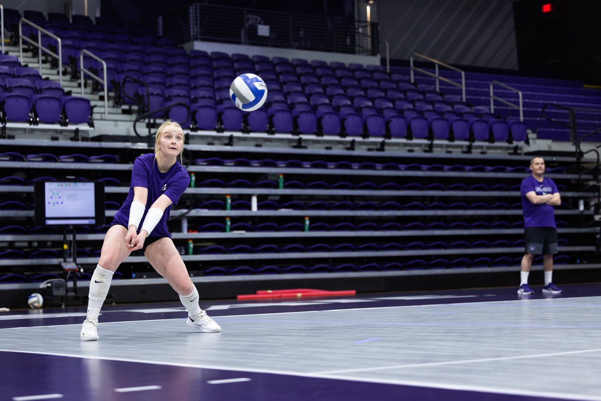 K-State Volleyball tweet media