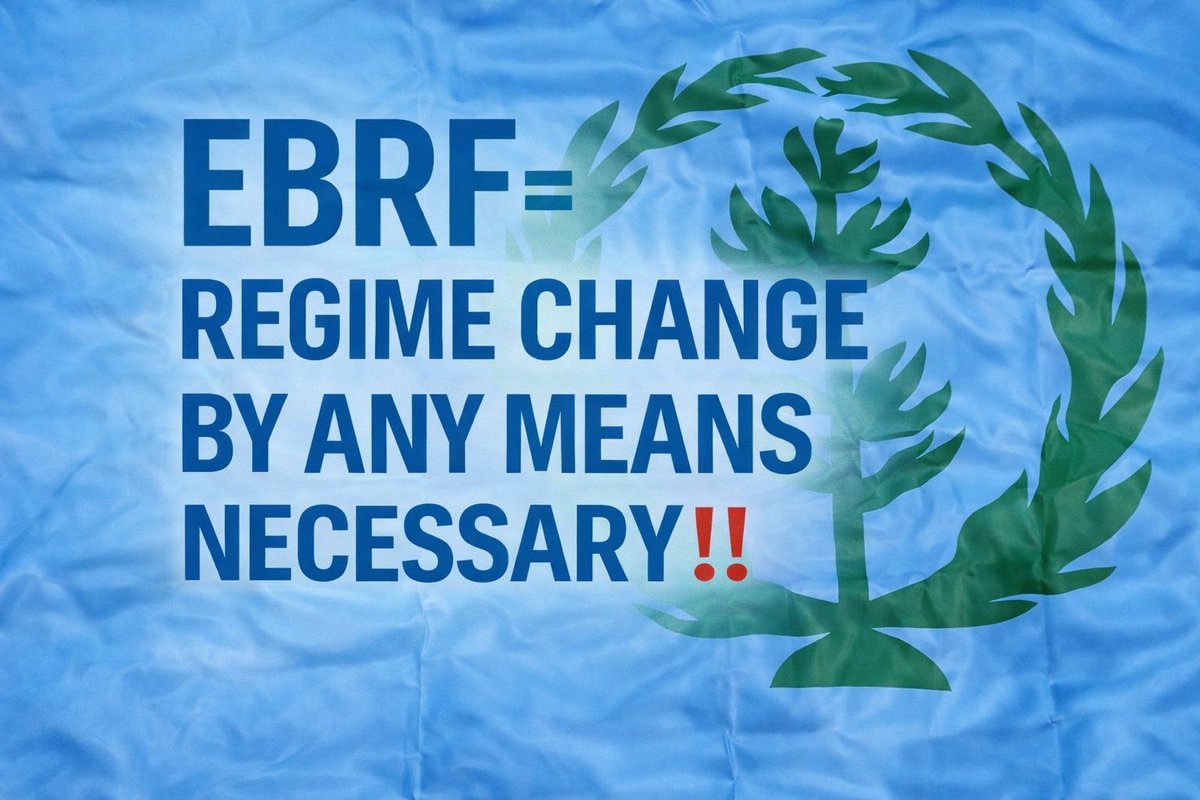 FBerhe30628's tweet photo. Regimewechsel bedeutet die Beendigung einer Diktatur durch Volksmacht, Gerechtigkeit und Verantwortlichkeit, nicht durch Gewalt.#EBRF #RegimeChangeInEritrea #TransnationalRepression #BlueRevolution #Eritrea #NoMorePFDJTerror
@BeyeneGerezghe1 @TiborPNagyJr 
@martinplaut https://t.co/V4ihX0pf3O