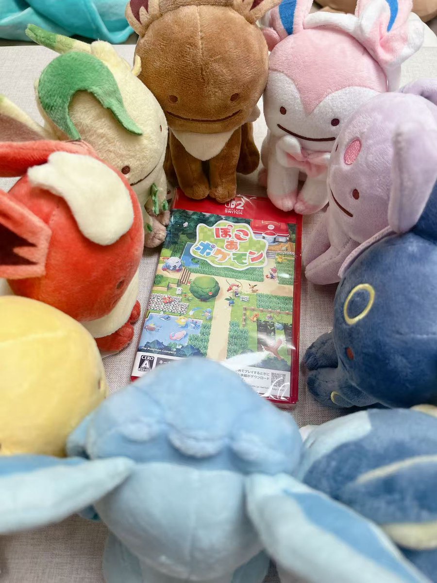 鯉炒め tweet media