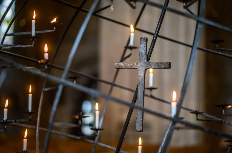 Network Norfolk tweet media