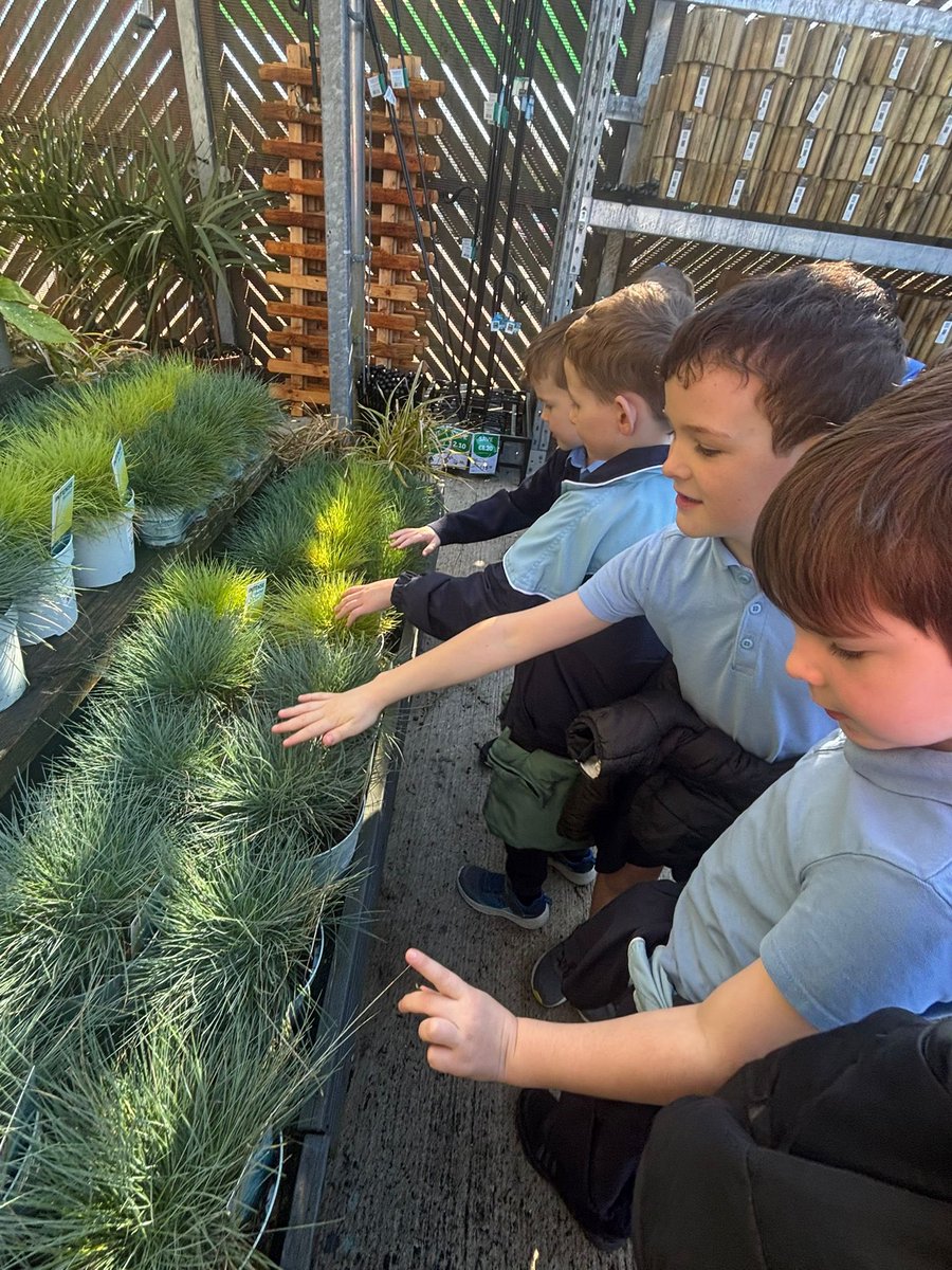 Holy Family Junior School tweet media