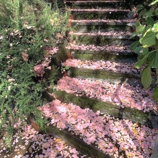 ˚ʚ♡ɞ˚ tweet media