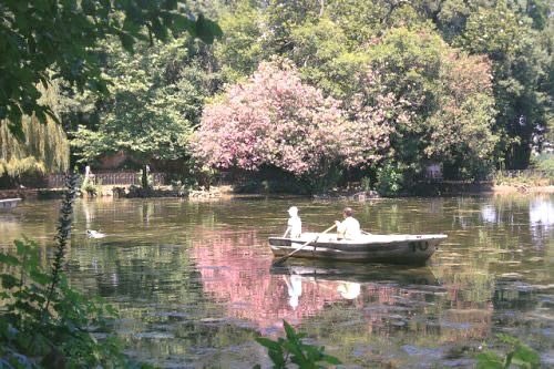 ˚ʚ♡ɞ˚ tweet media