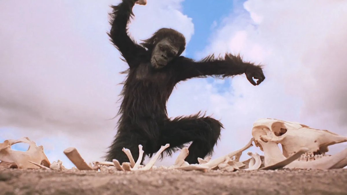 Documentary Club tweet media