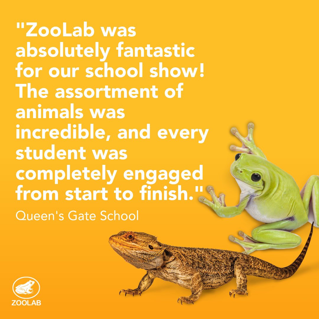 ZooLabUK tweet media