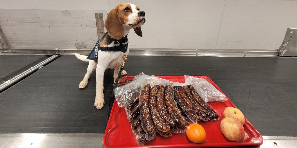 Director of Field Operations Chicago tweet media