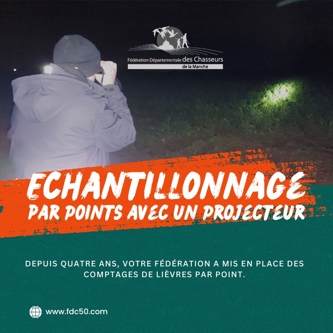 FdcManche's tweet photo. 🔦 EPP – Comptage du lièvre : la science sur le terrain

Depuis 4 ans, la FDC50 réalise des comptages par Échantillonnage Par Points, adaptés au bocage normand.
54 soirées, +270 h de terrain, plus de 1 000 points éclairés : des données essentielles face à la baisse des densités. https://t.co/kc1ETdWmcW