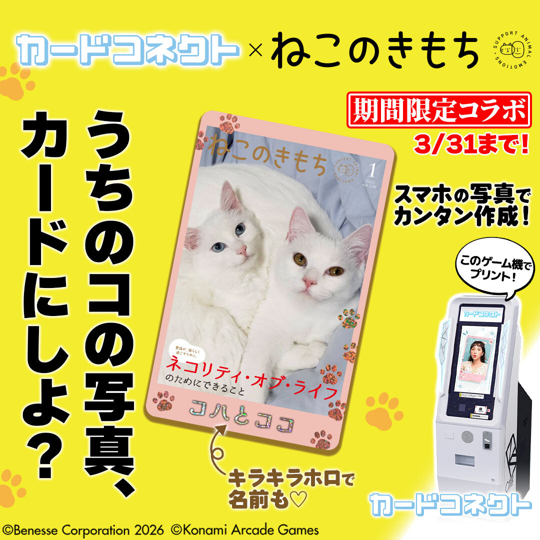 カードコネクト公式 tweet media