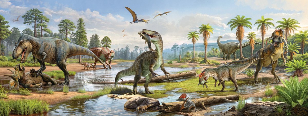 The Anatomical Record tweet media