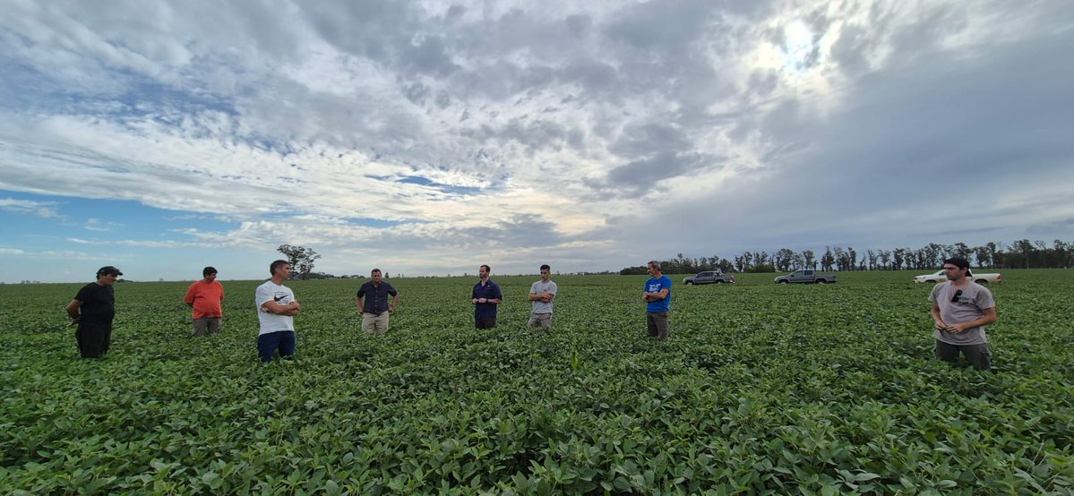 Viento Sur tweet media