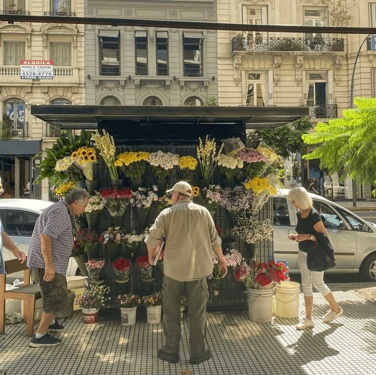 MozartCultures's tweet photo. spring in argentina https://t.co/dHU0fDGzCA
